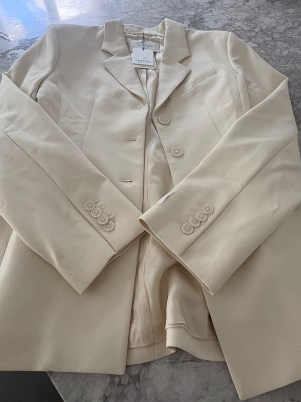 Aritzia Standout Blazer-Essential